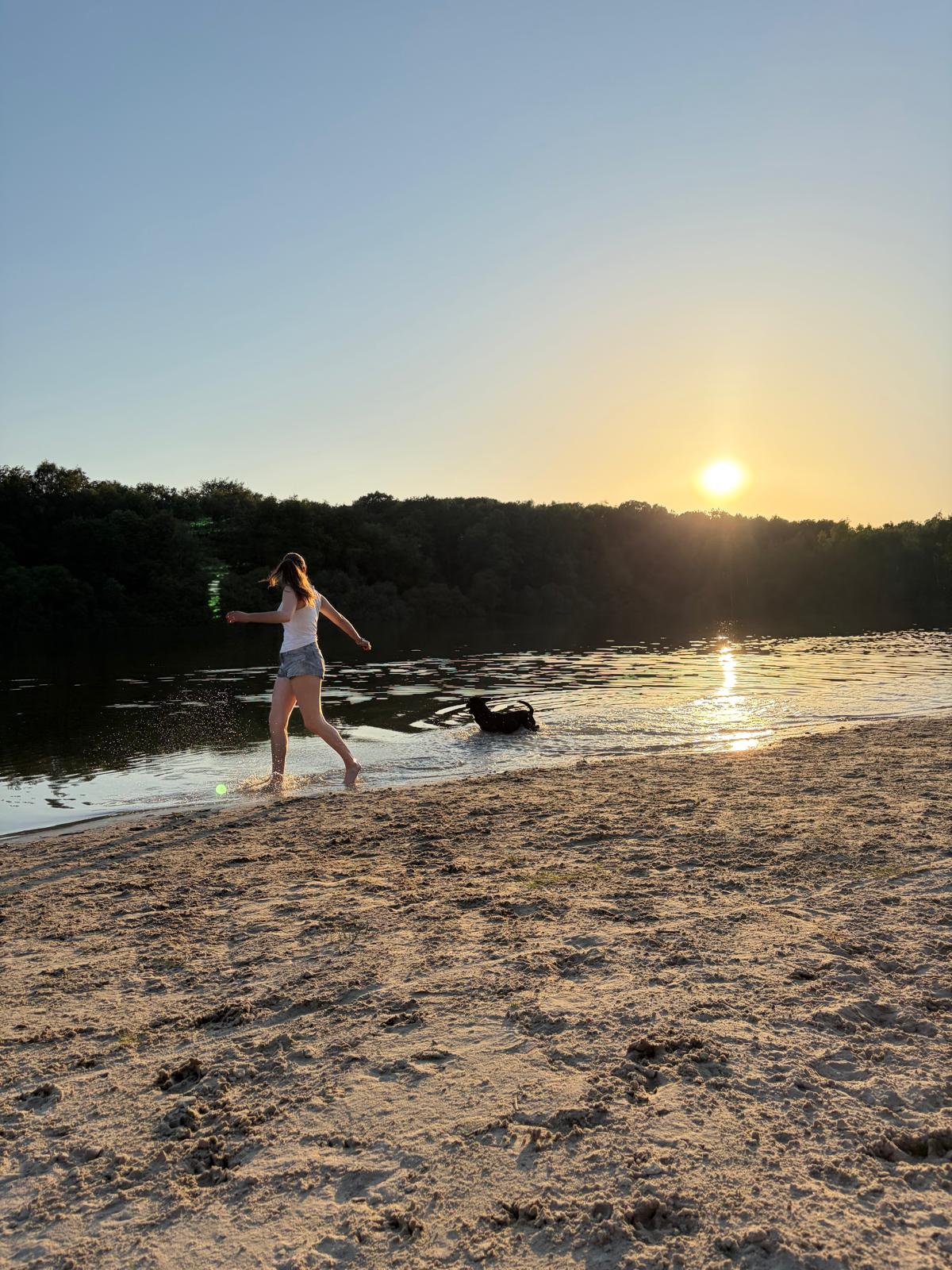 Het Gasselterveld bij Hemelriek in de avondzon